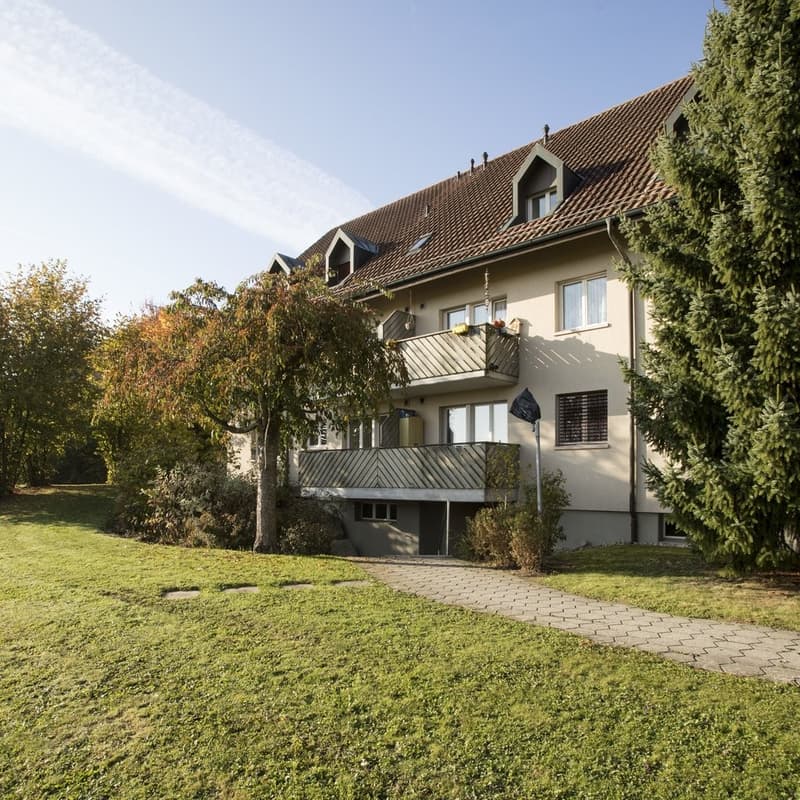Heimelige Dachwohnung zu vermieten - 1 Monatsnettomiete geschenkt! (1)