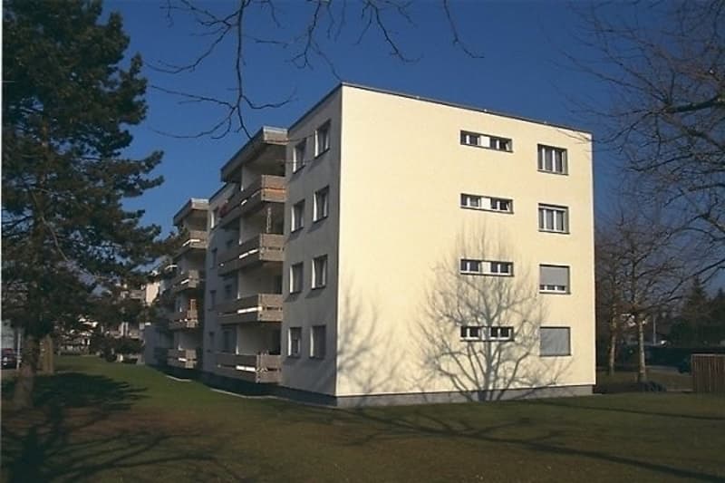 Appartement confortable à louer à Langenthal (1)