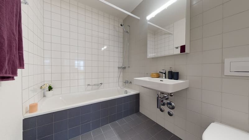 Livit-NL-BE-B73402104-Zentrumweg-4-4562-Biberist-07272022_035925.jpg