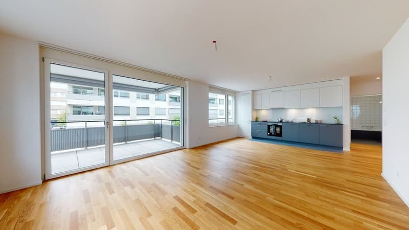 Livit-NL-BE-B73402104-Zentrumweg-4-4562-Biberist-07272022_035437.jpg