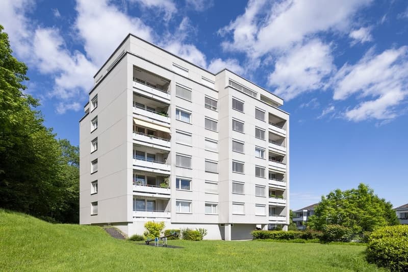 Luzern_Hirtenhofring_