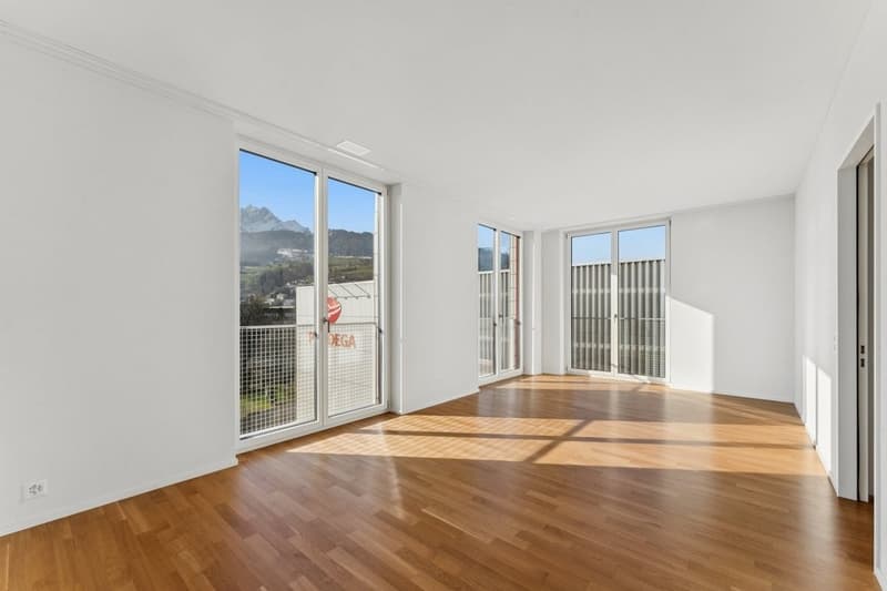 Lichtdurchflutete 4.5-Zimmerwohnung im 6. Obergeschoss (2)