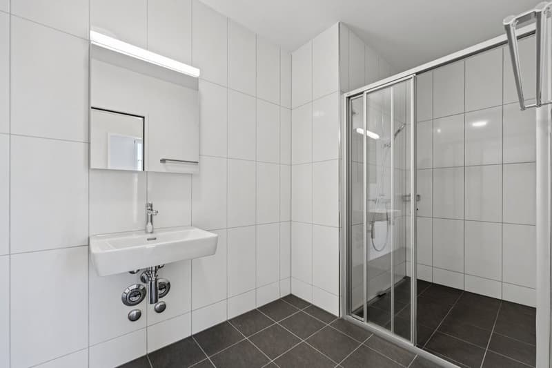 Lichtdurchflutete 4.5-Zimmerwohnung im 6. Obergeschoss (5)