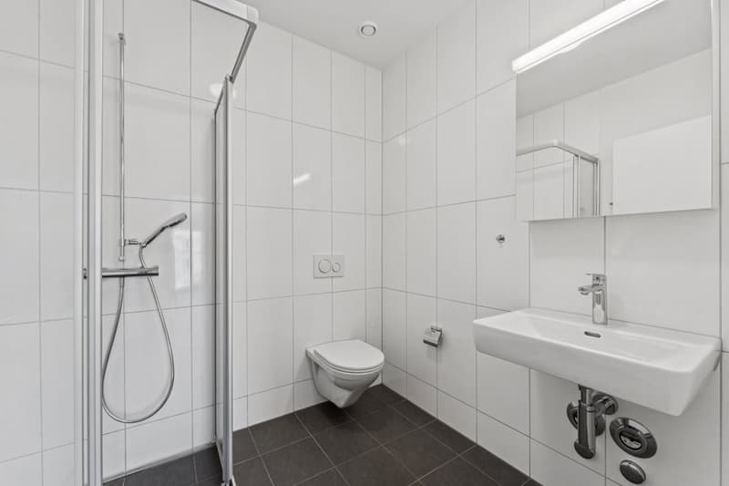 Lichtdurchflutete 4.5-Zimmerwohnung im 3. Obergeschoss (10)