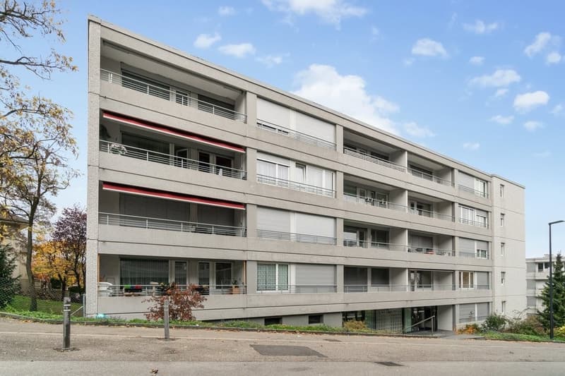Bel appartement de 46 m3 avec balcon (5)