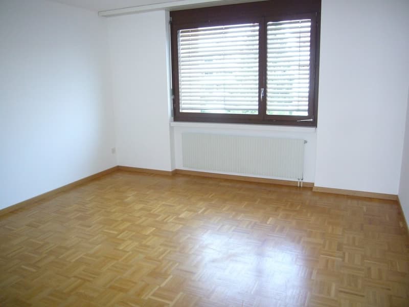 Sonnige Wohnung mit Sitzplatz (5)