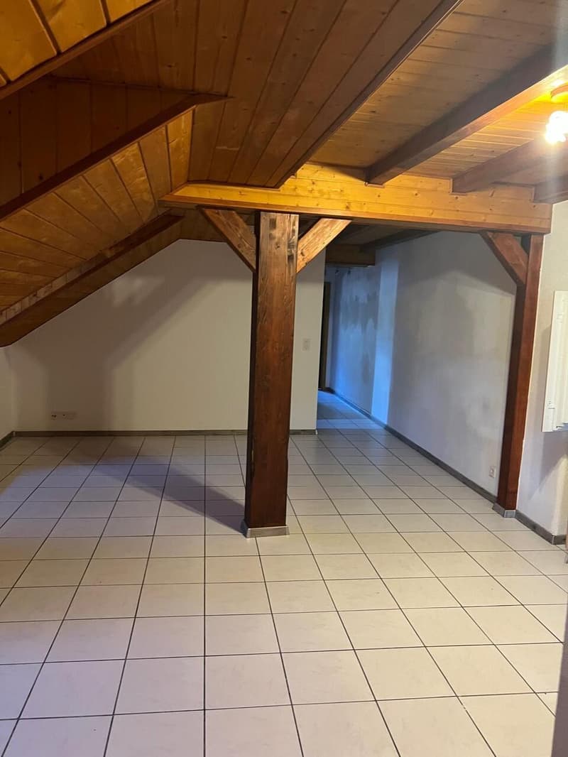 Rental property in the heart of Salvan (10)
