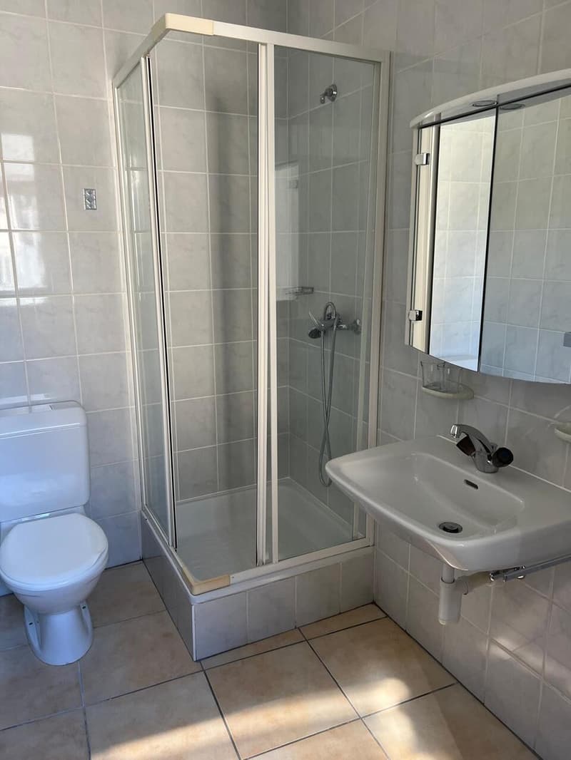Rental property in the heart of Salvan (9)
