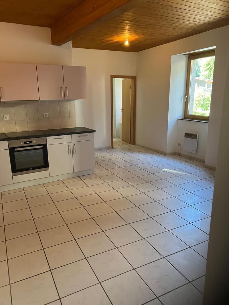 Rental property in the heart of Salvan (4)