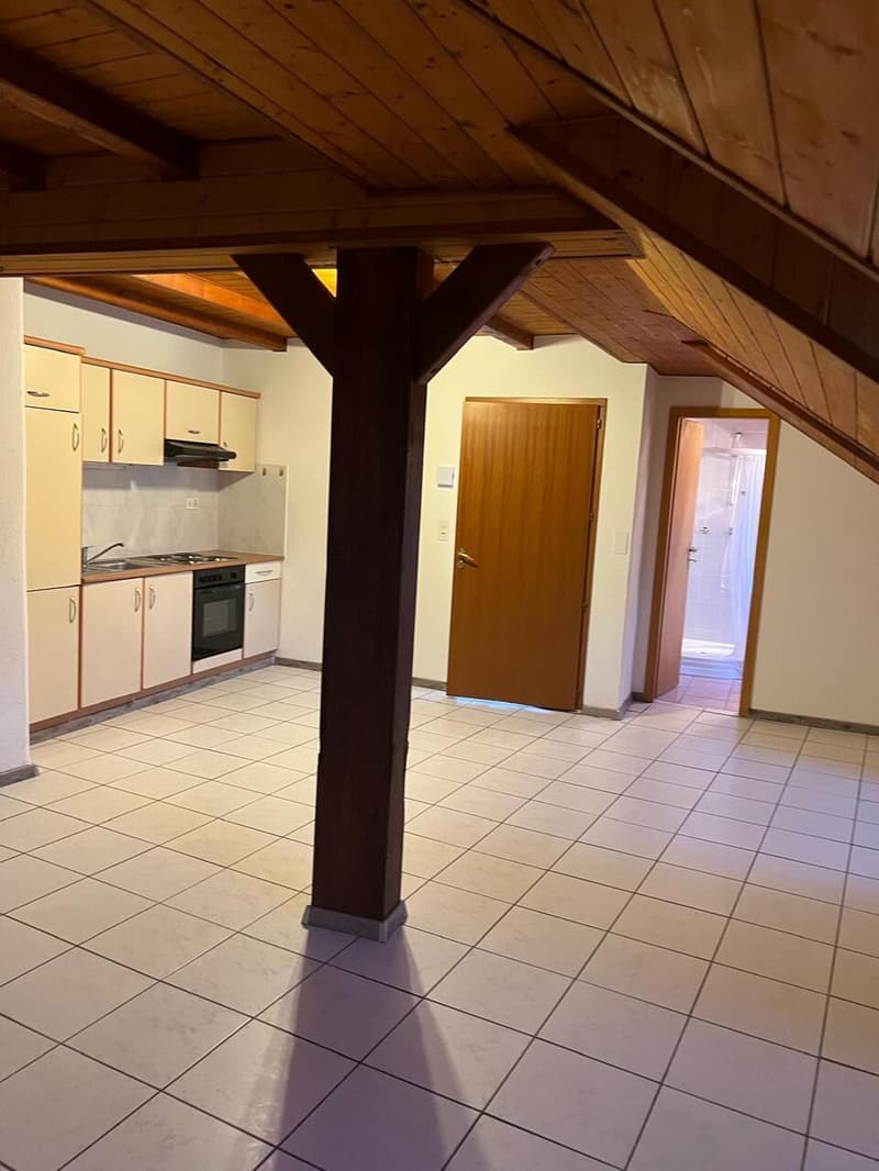 Rental property in the heart of Salvan (11)