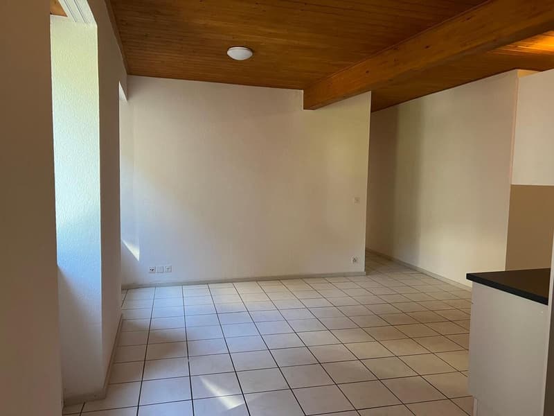 Rental property in the heart of Salvan (5)