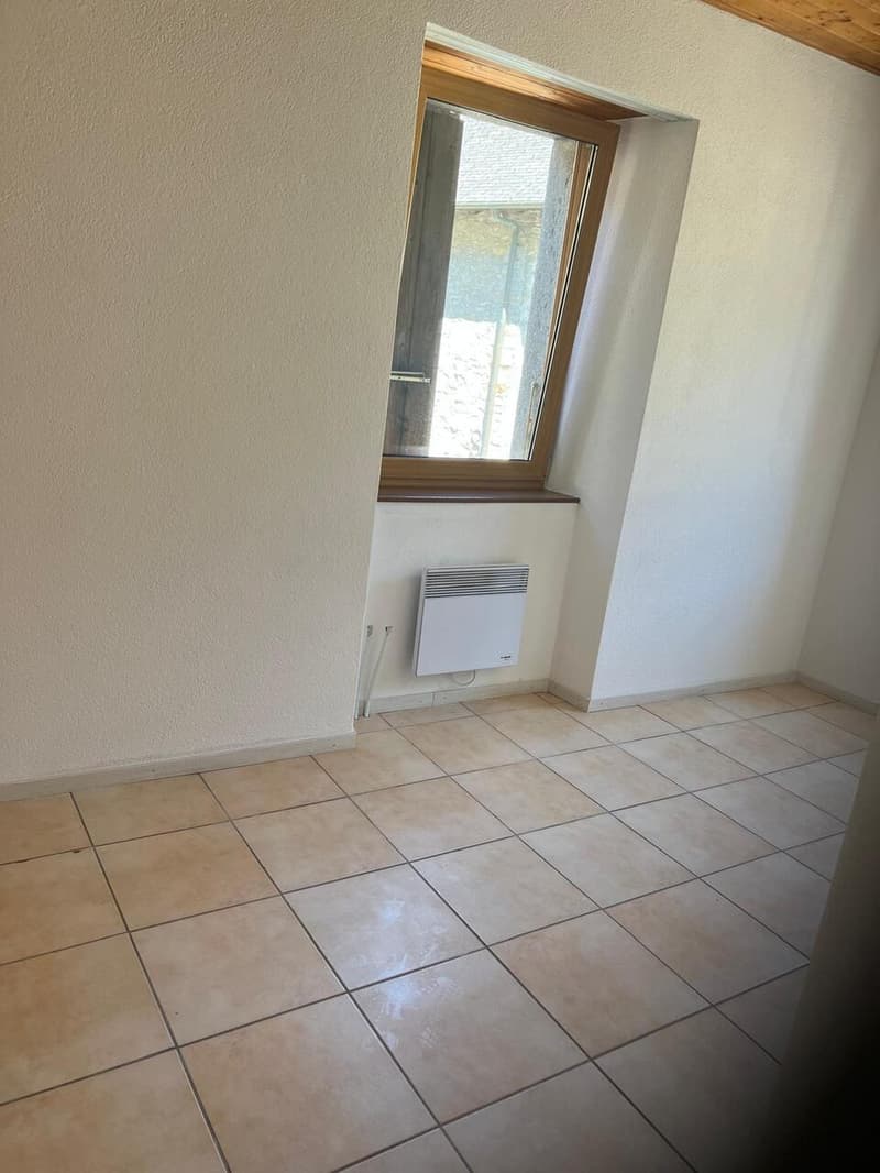 Rental property in the heart of Salvan (6)