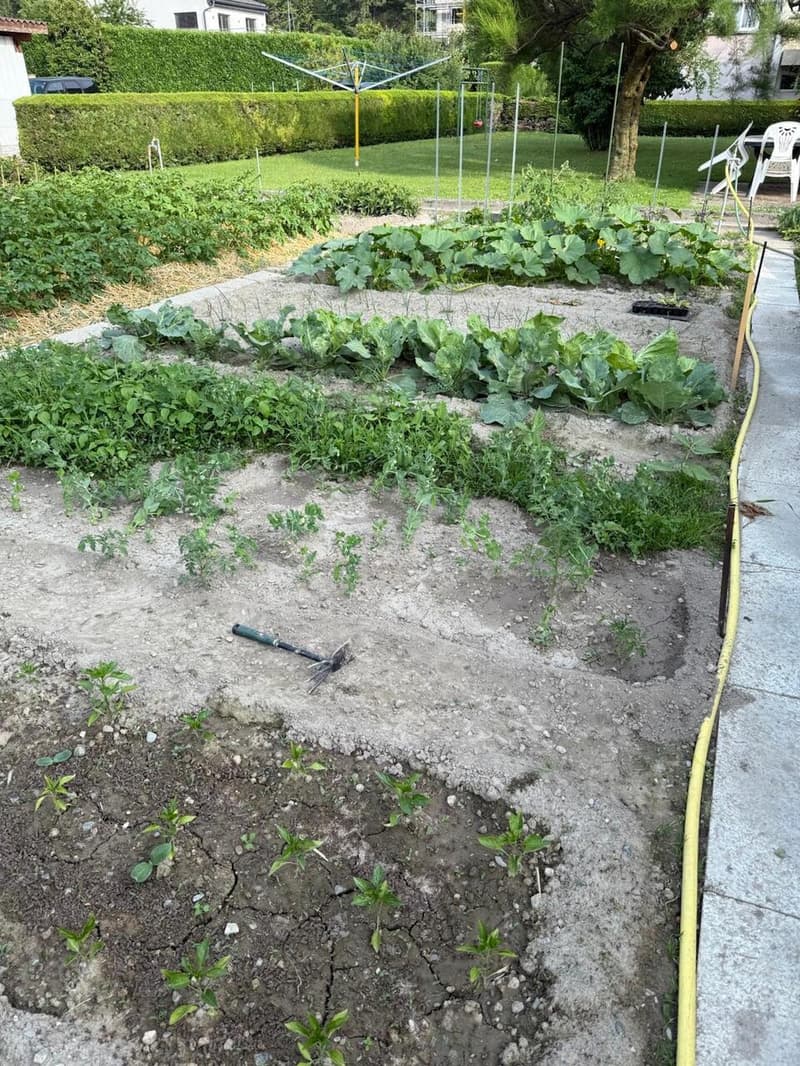 Incantevole appartamento 4.5 locali con giardino a Chippis (11)