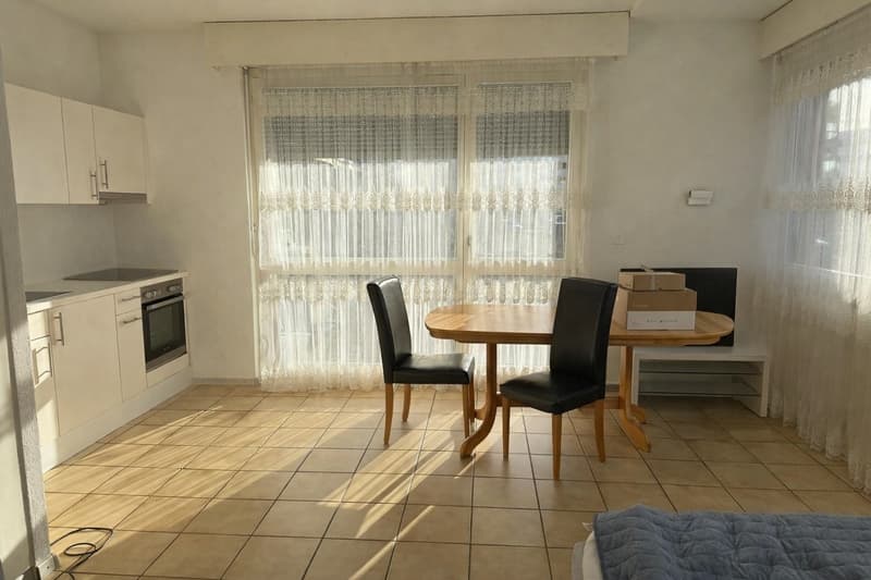 Monolocale di 1.5 locali con terrazza a Conthey (3)