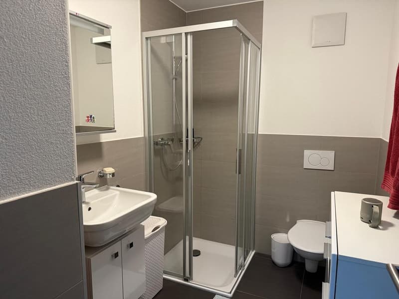 Apartment 3.5 in Sierre (10)