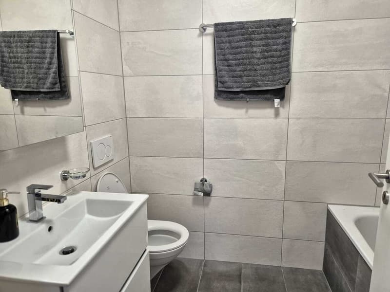 Large apartment in Sion (11)
