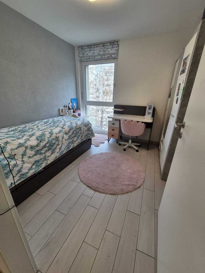 Large apartment in Sion (7)
