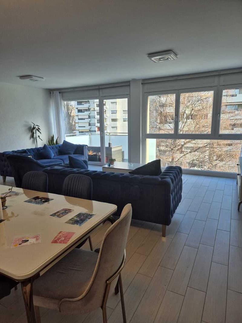 Large apartment in Sion (2)