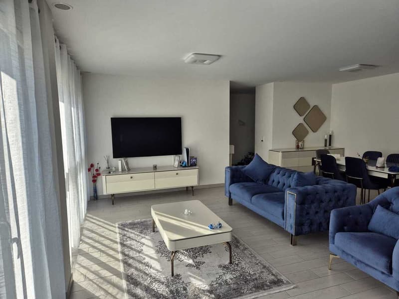 Large apartment in Sion (3)