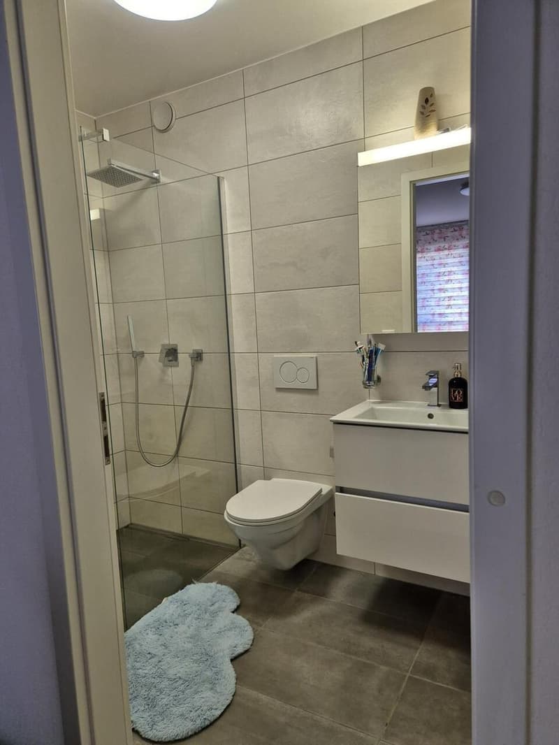 Large apartment in Sion (10)