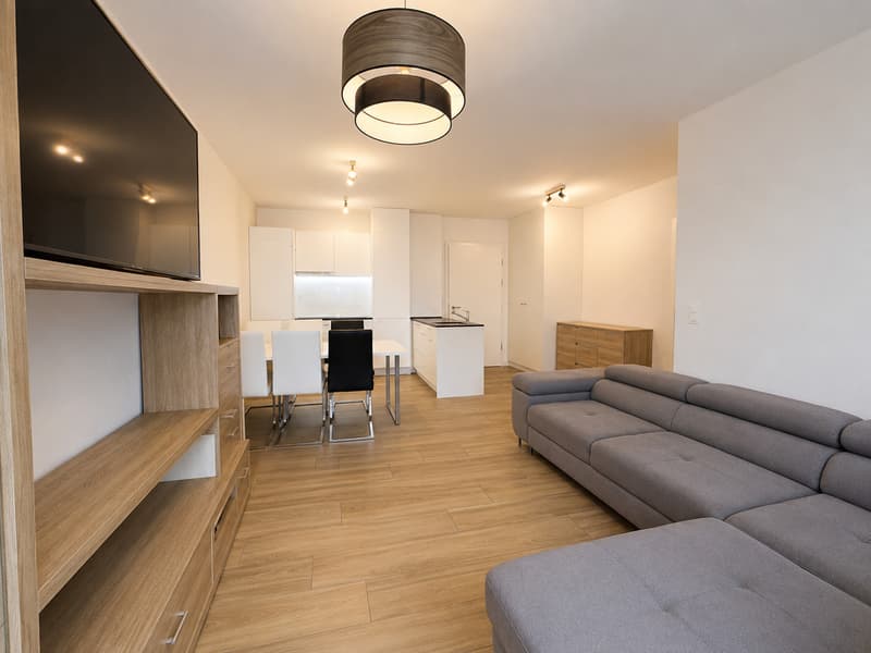 Magnificent 2.5-room apartment in Uvrier (4)