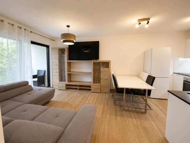 Magnificent 2.5-room apartment in Uvrier (2)