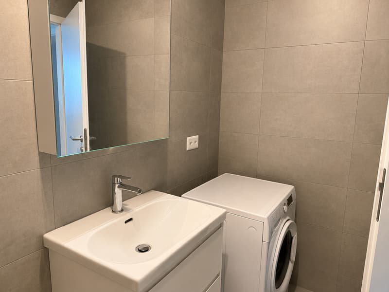 Magnificent 2.5-room apartment in Uvrier (12)