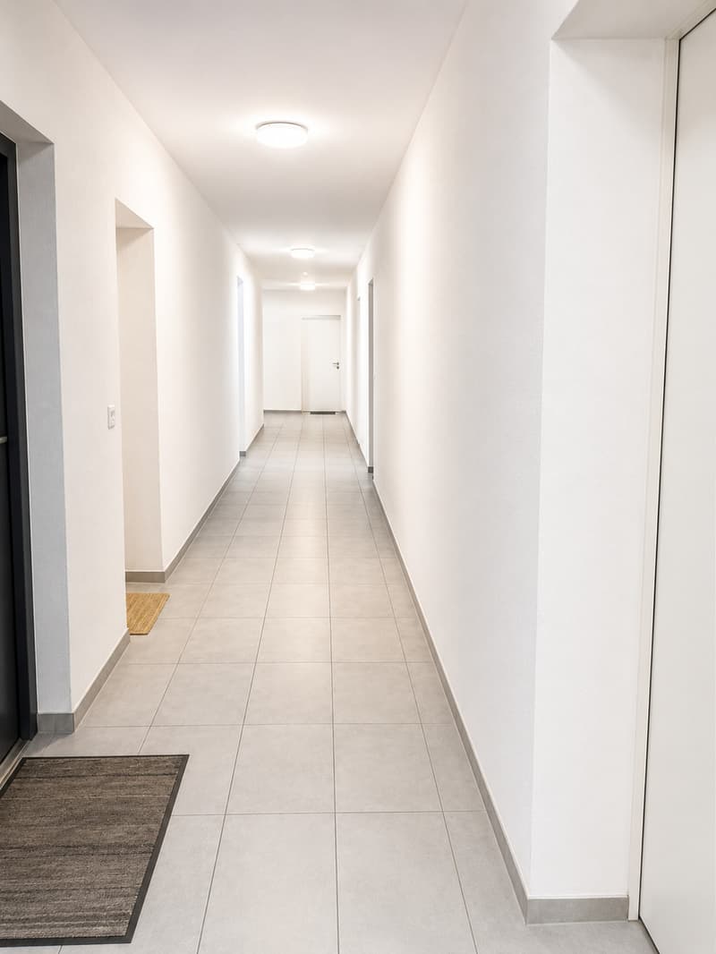 Magnificent 2.5-room apartment in Uvrier (2)
