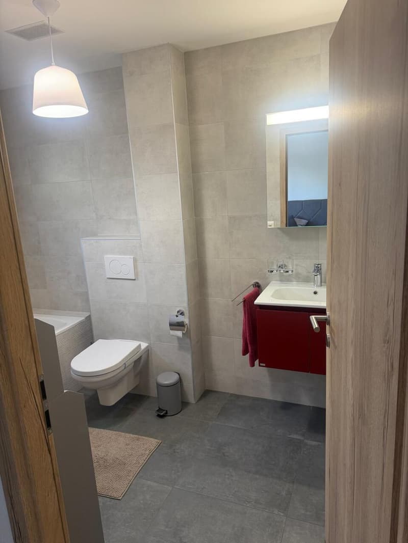 Appartement 4.5 pièces - Leytron (7)