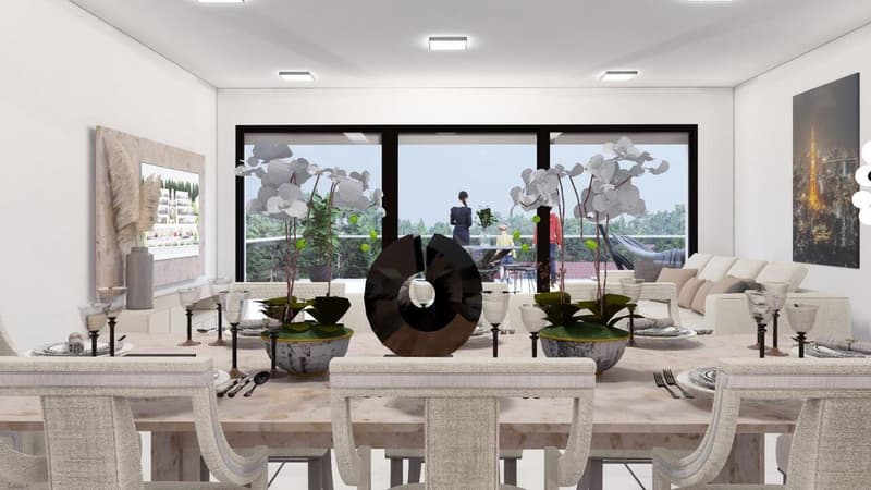 Dernier Appartement-Terrasse disponible (12)