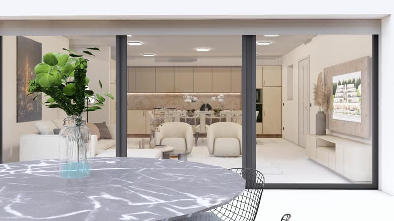 Dernier Appartement-Terrasse disponible (9)