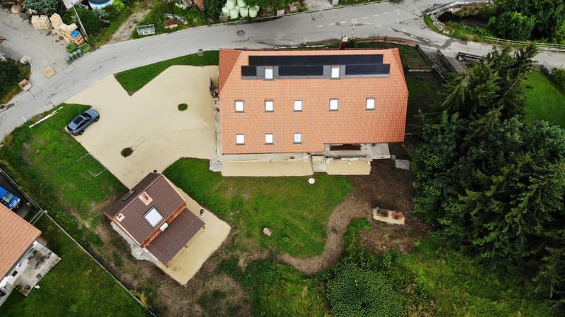 Dachwohnung mit Galerie und Terrasse im kernsanierten Bauernhaus (2)