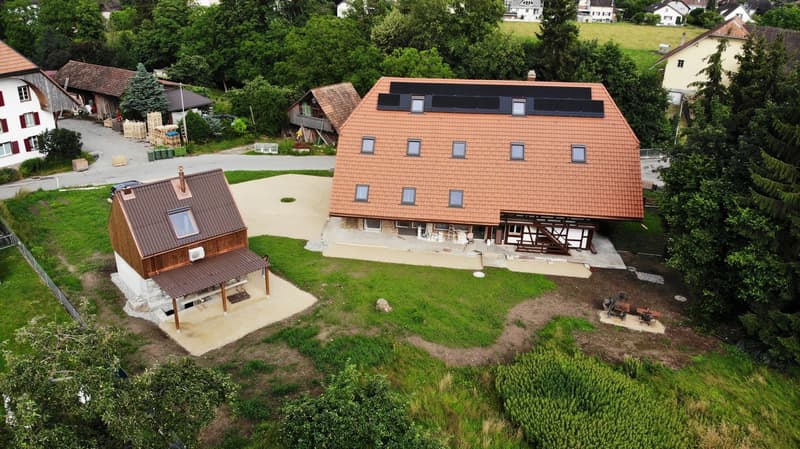 Dachwohnung mit Galerie und Terrasse im kernsanierten Bauernhaus (1)