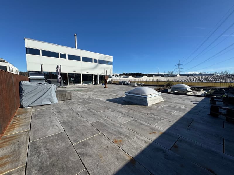 modern building with glass windows, tiled roof, covered terrace, covered grill area, metal fence