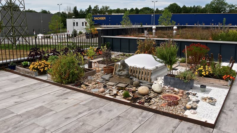 Rooftop garden with various plants, flowers, and a small statue, surrounded by a gravel path, with a view of the surrounding area