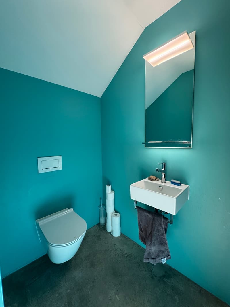 Bathroom with teal walls, white toilet, white sink, mirror, towel rack, toilet paper, and a bottle