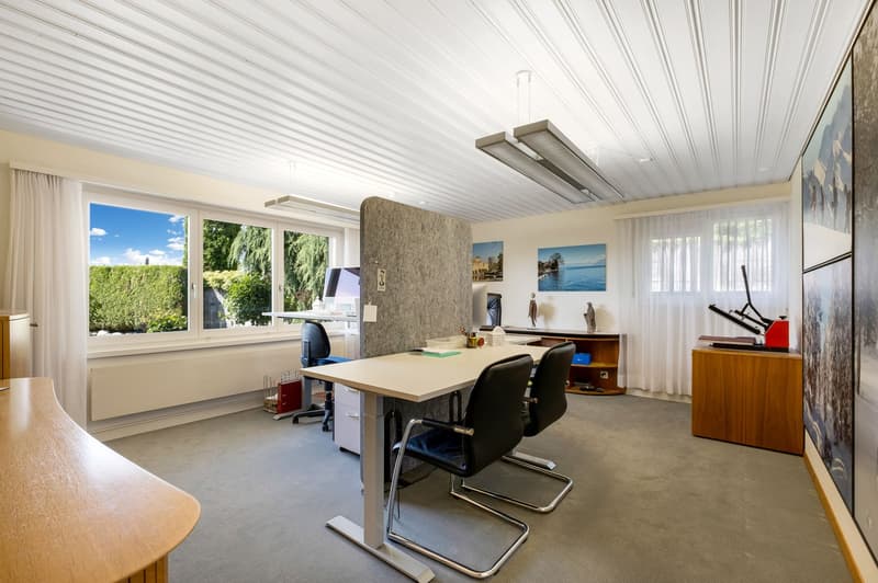 Spacious office with large windows overlooking a green outdoor area, modern furniture including a desk, chairs, and shelving, artwork and decor on the walls, and a bright, open layout.