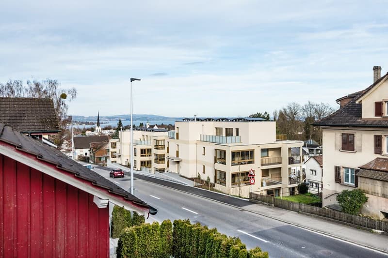 4-Bedroom Apartment in Initial Occupancy - with Lake View (6)
