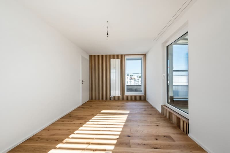 Renovated 3.5-room penthouse with XXL terrace in Kreuzlingen Copy (12)