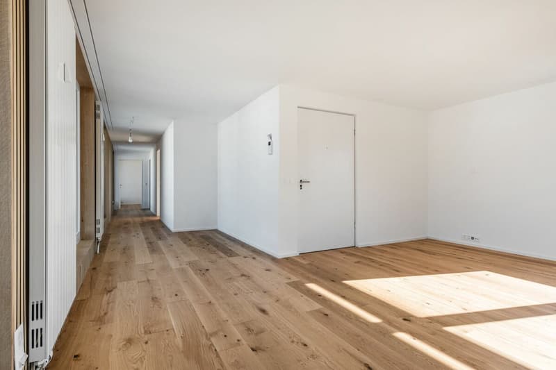 Renoviertes 3.5-Zi.-Penthouse mit XXL-Terrasse in Kreuzlingen Kopie Kopie (6)