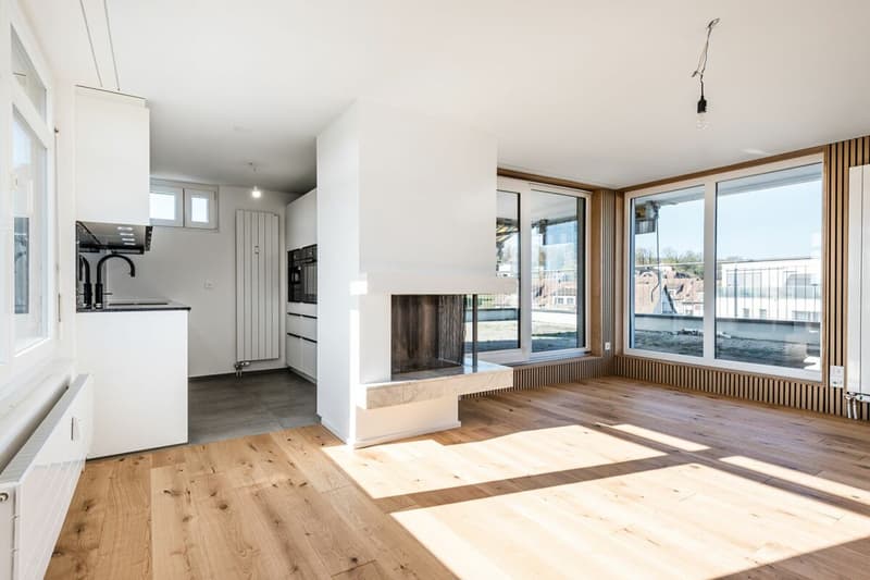 Renoviertes 3.5-Zi.-Penthouse mit XXL-Terrasse (kein Lift) (1)