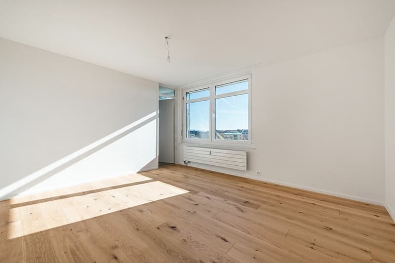 Renoviertes 3.5-Zi.-Penthouse mit XXL-Terrasse (kein Lift) (10)