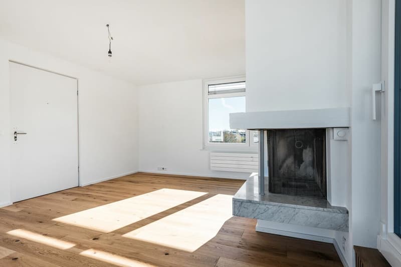 Renoviertes 3.5-Zi.-Penthouse mit XXL-Terrasse (kein Lift) (4)