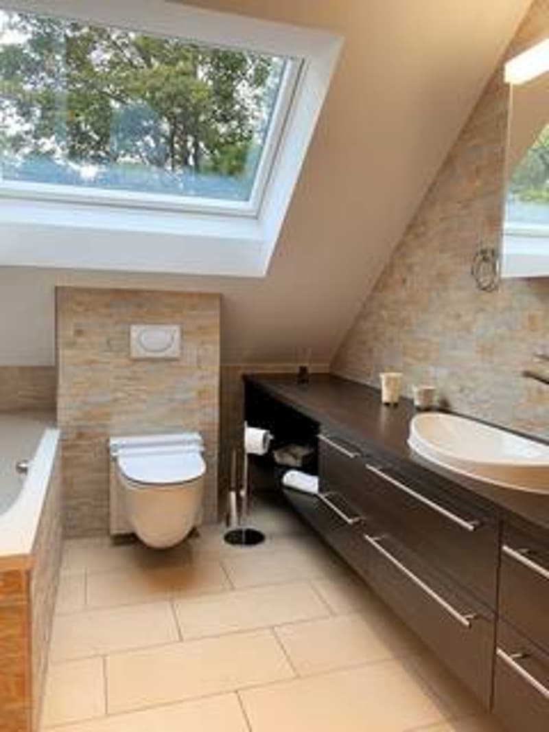 Bathroom with skylight, bathtub, toilet, sink, cabinets, mirror