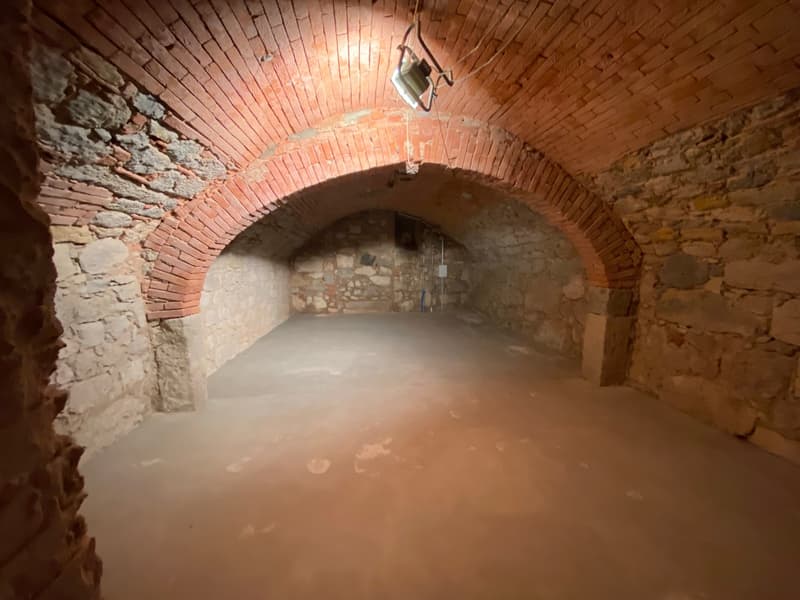 vaulted brick ceiling, stone walls, concrete floor, arched entrance