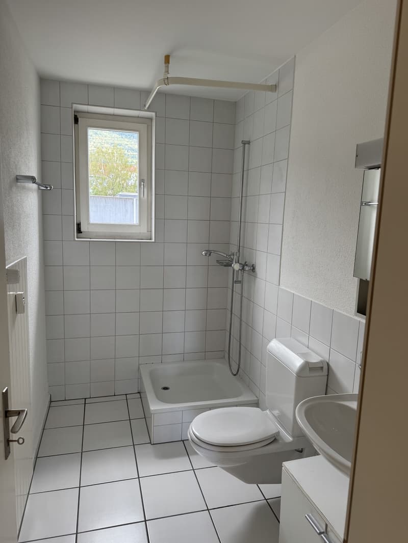 Helle 2-Zimmer-Wohnung im Erdgeschoss in Grenchen – sofort verfügbar! (7)