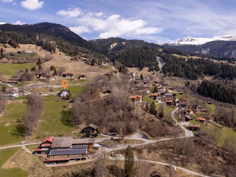 Vivre avec une vue dégagée. Appartement de 4,5 pièces rénové récemment près d'Arosa (16)