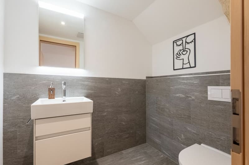 Vivre avec une vue dégagée. Appartement de 4,5 pièces rénové récemment près d'Arosa (7)