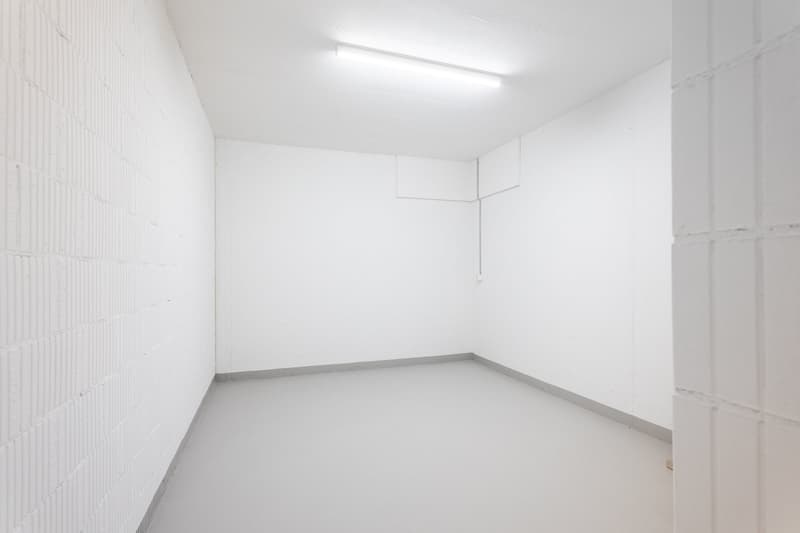 Penthouse first-time occupancy in Wil SG. Light, space and two terraces with city views (15)