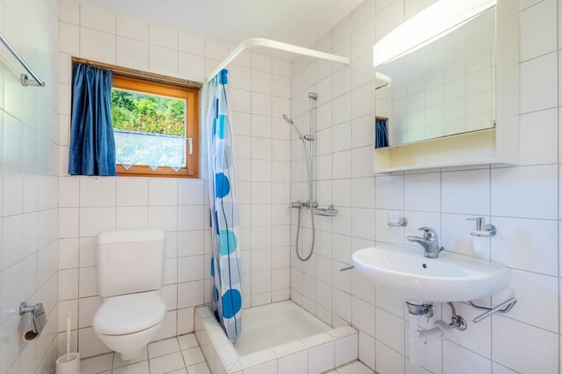 Charming 4.5-room single-family house (11)